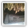 LEAF TOBACCO SHREDDED TOBACCO raw tobacco leaf dark air cured tobacco rustica tobacco FLUE CURED TOBACCO